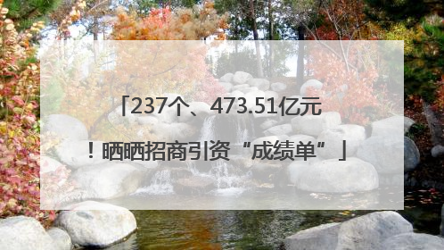 237个、473.51亿元！晒晒招商引资“成绩单”